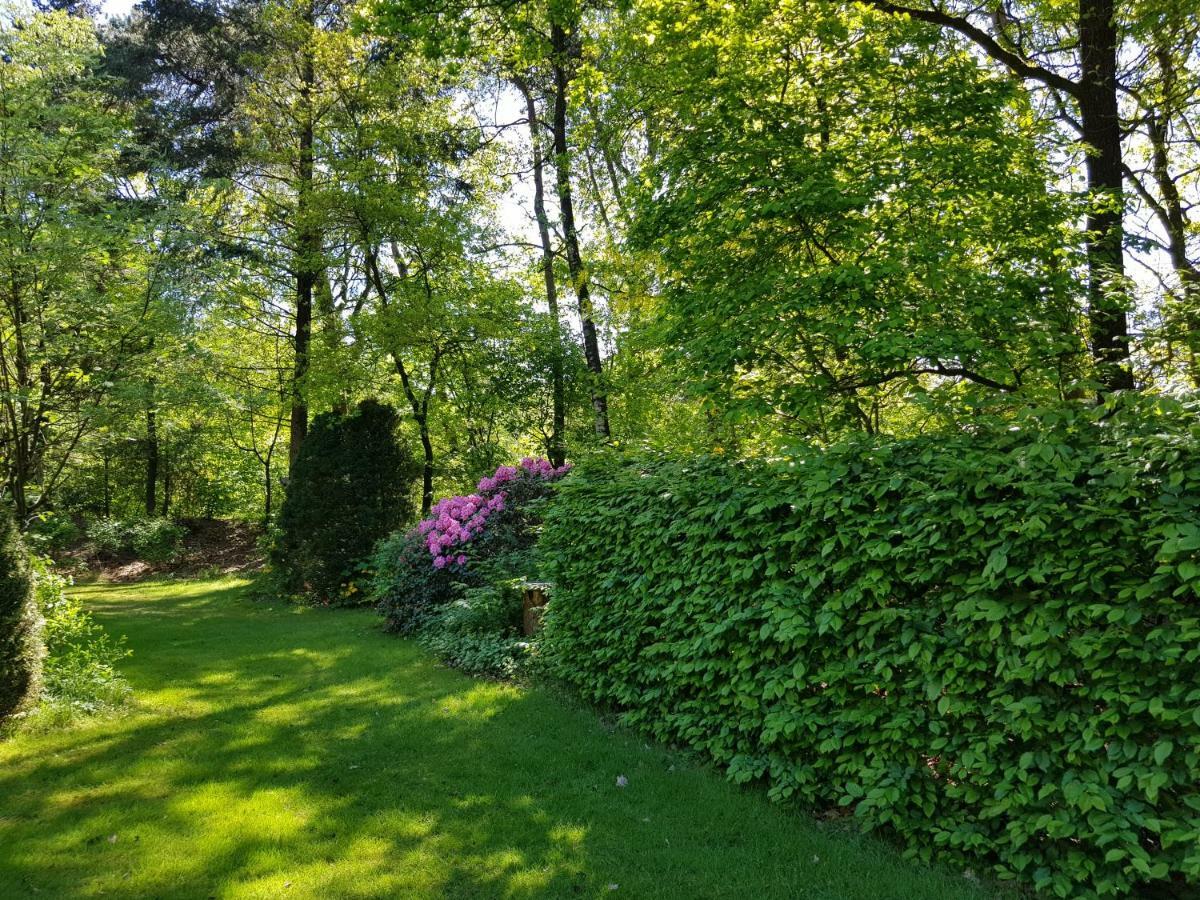 Knusse Bungalow Otterlo Veluwe Εξωτερικό φωτογραφία