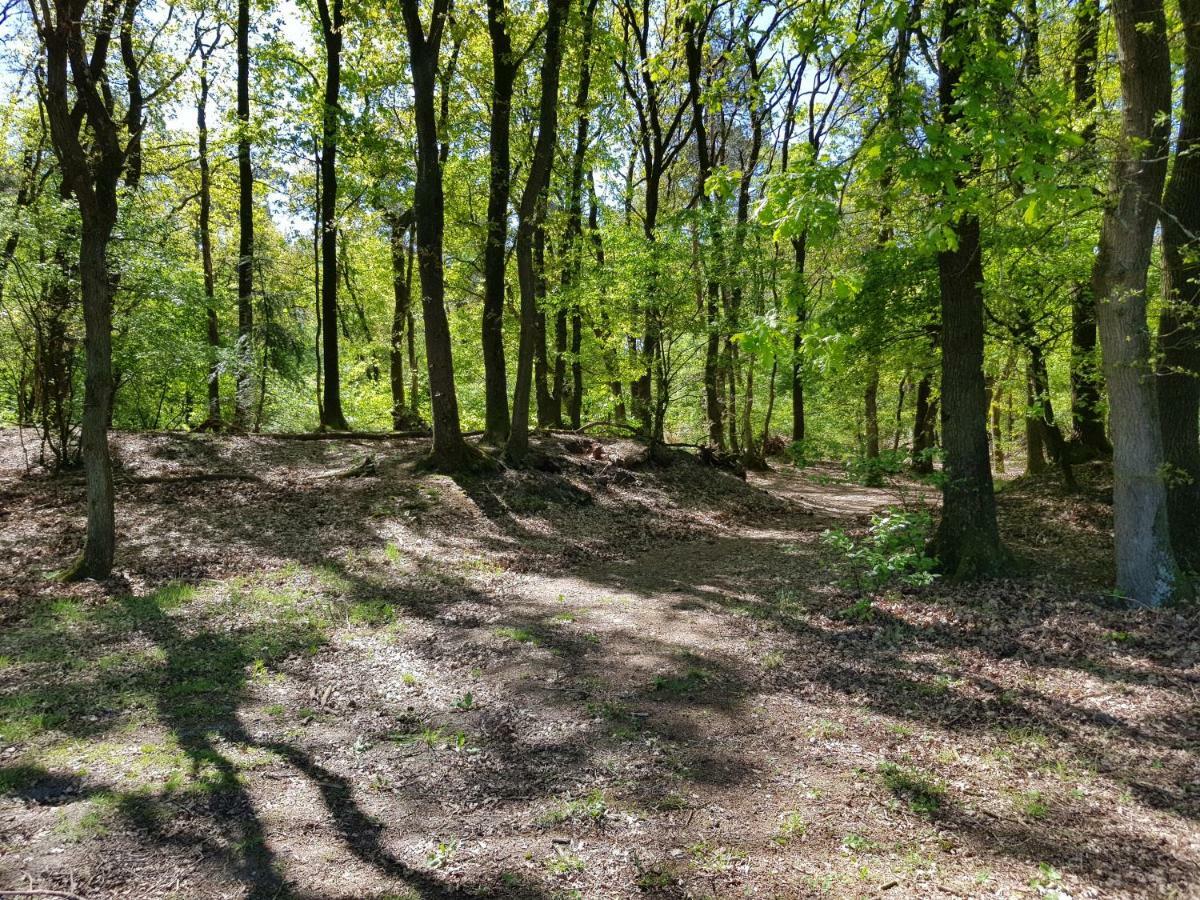 Knusse Bungalow Otterlo Veluwe Εξωτερικό φωτογραφία